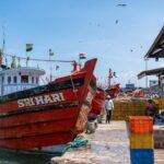 Informasi menarik dan terupdate tentang fakta terbaru hari ini dalam bentuk gambar yang menarik dan bermanfaat