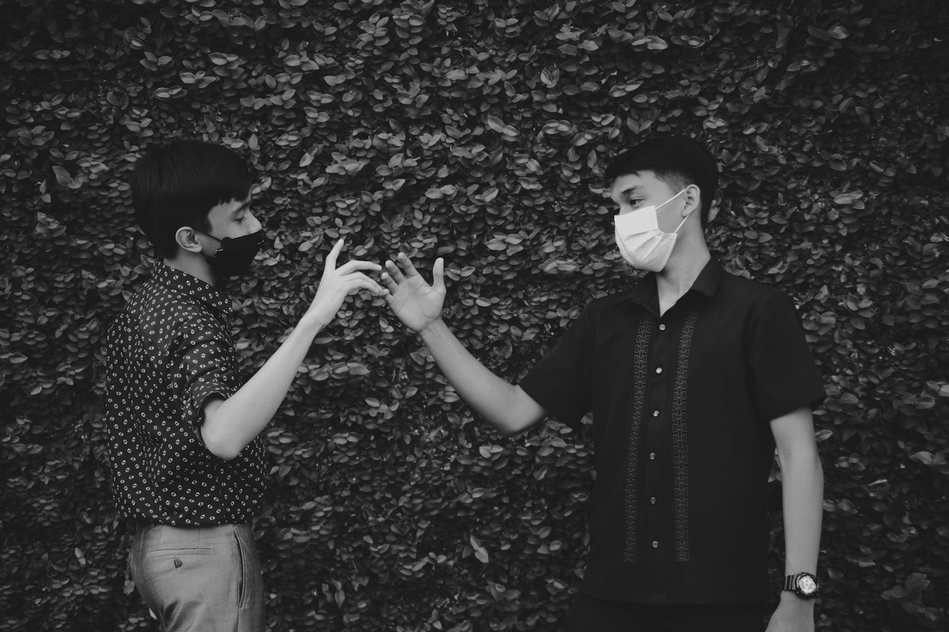 fakta kasus viral terbaru